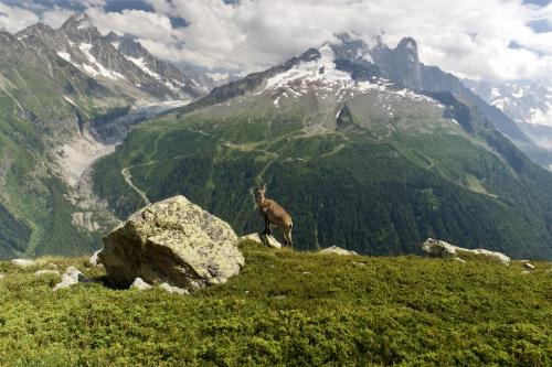 4QJffemzTGunSnxP0odrlw_thumb_1c53b