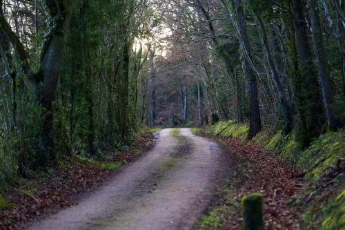 8py7jfScRh23uWz1ucOBIw_thumb_1d46f