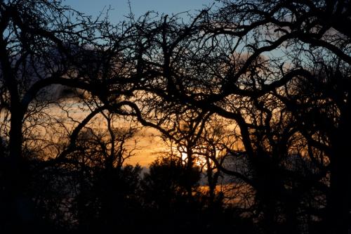 ArrSOr3XTKm+D5TP%%g76g_thumb_1d406