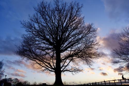 %HX+xWKQQfyBm+tHRas9cQ_thumb_1d096