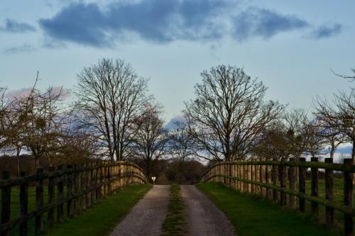 I4jF8gwZShyYz2BoyqtBgg_thumb_1d472