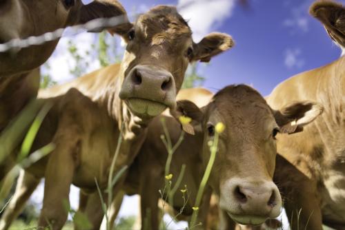 KEI2D%ZoSW6r2USVBzLr0w_thumb_1bd61