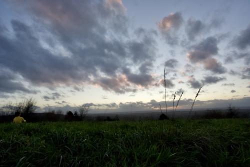 Q0SGbx3eS5+Bav83OmhMgA_thumb_1d079