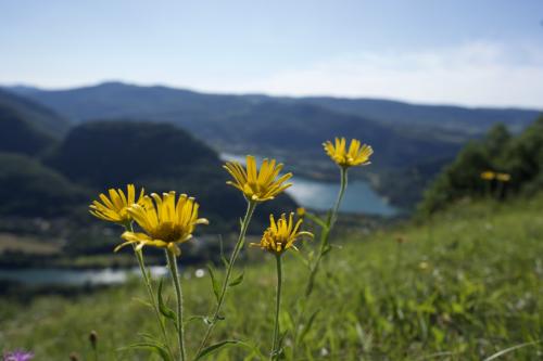 UNADJUSTEDRAW_thumb_1c29e