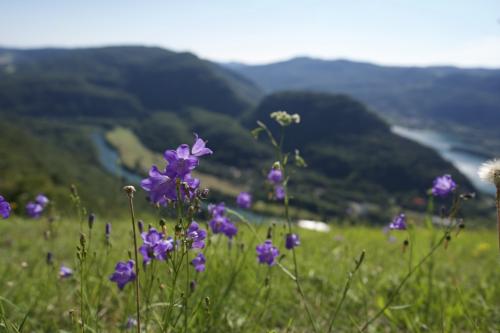 UNADJUSTEDRAW_thumb_1c2a2