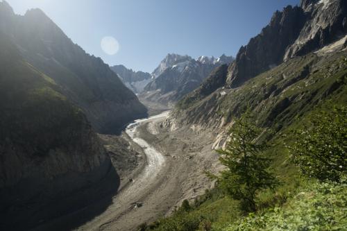 UNADJUSTEDRAW_thumb_1c41c