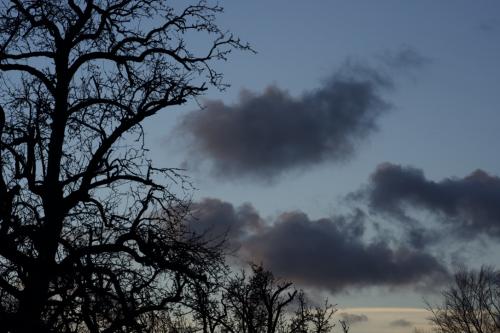 UNADJUSTEDRAW_thumb_1d41a