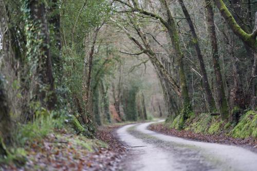 UNADJUSTEDRAW_thumb_1d453