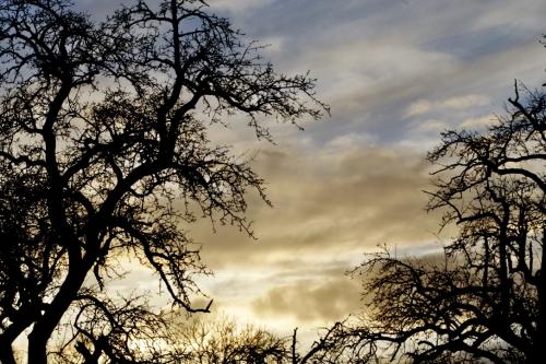 ko5kieY6Q8KQK%NmwwLglw_thumb_1d073